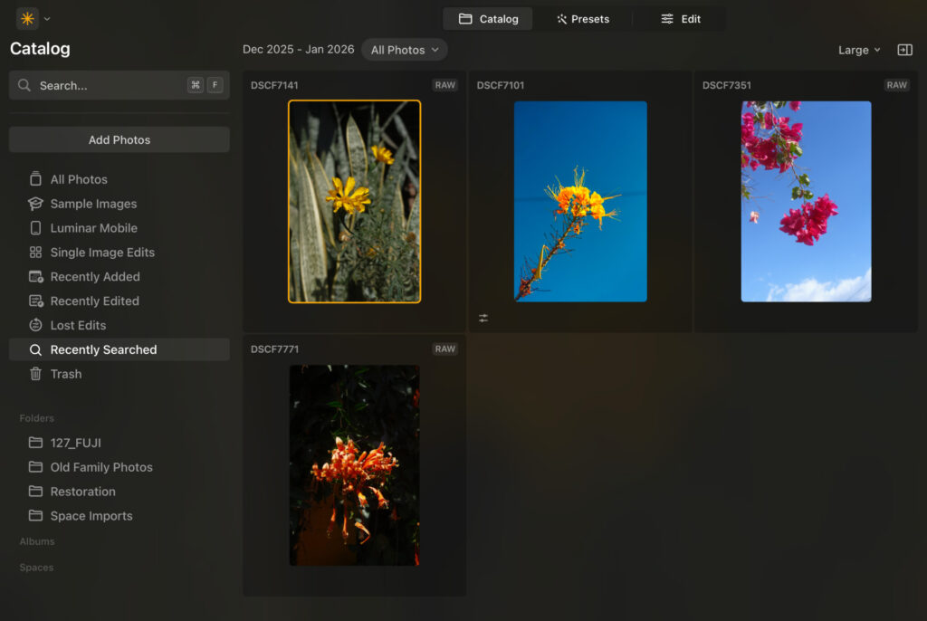 luminar neo smart search