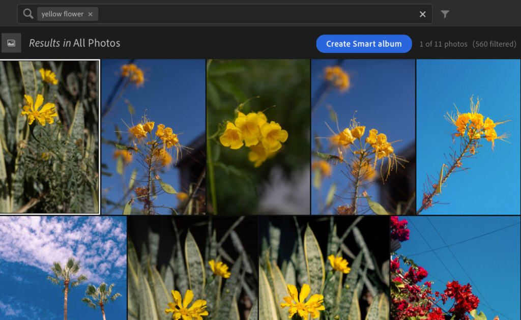 lightroom smart search