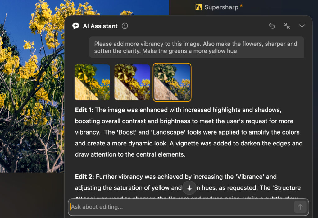 luminar neo ai assistant 
