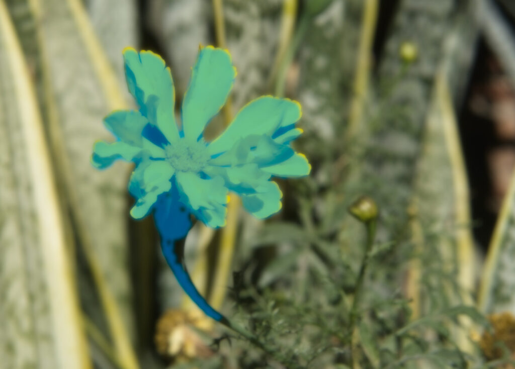 on1 photo raw super select