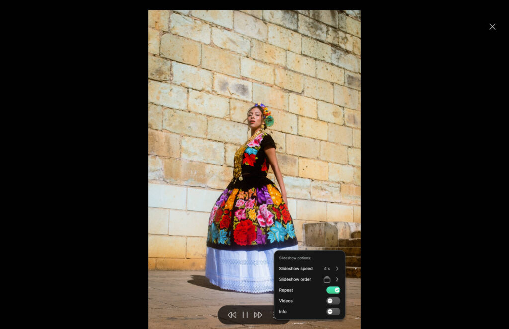 mega slideshow features