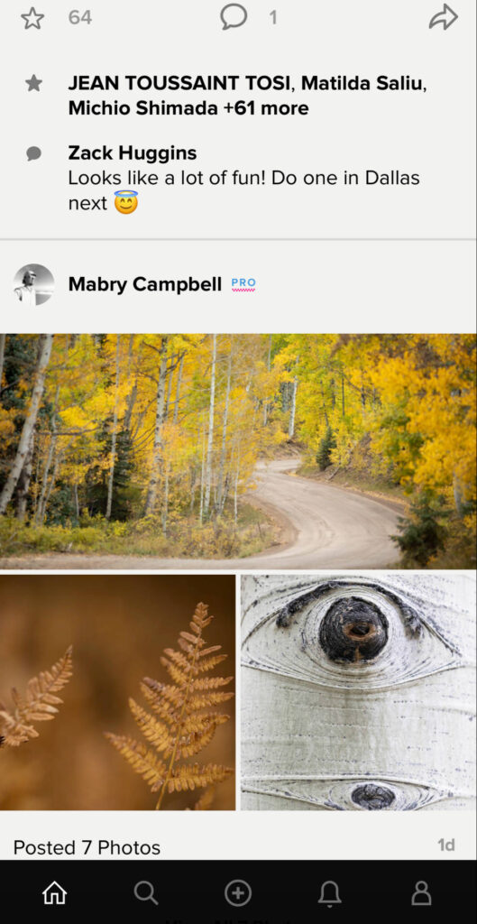 flickr mobile app