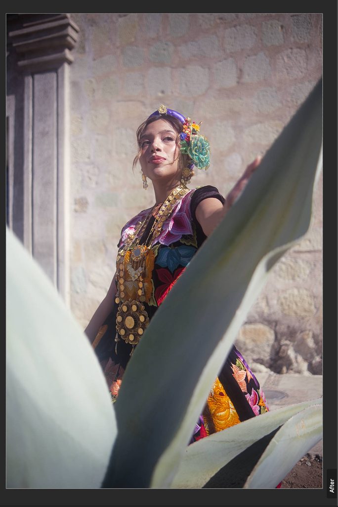 final edit of a raw file inside affinity free photo editing software