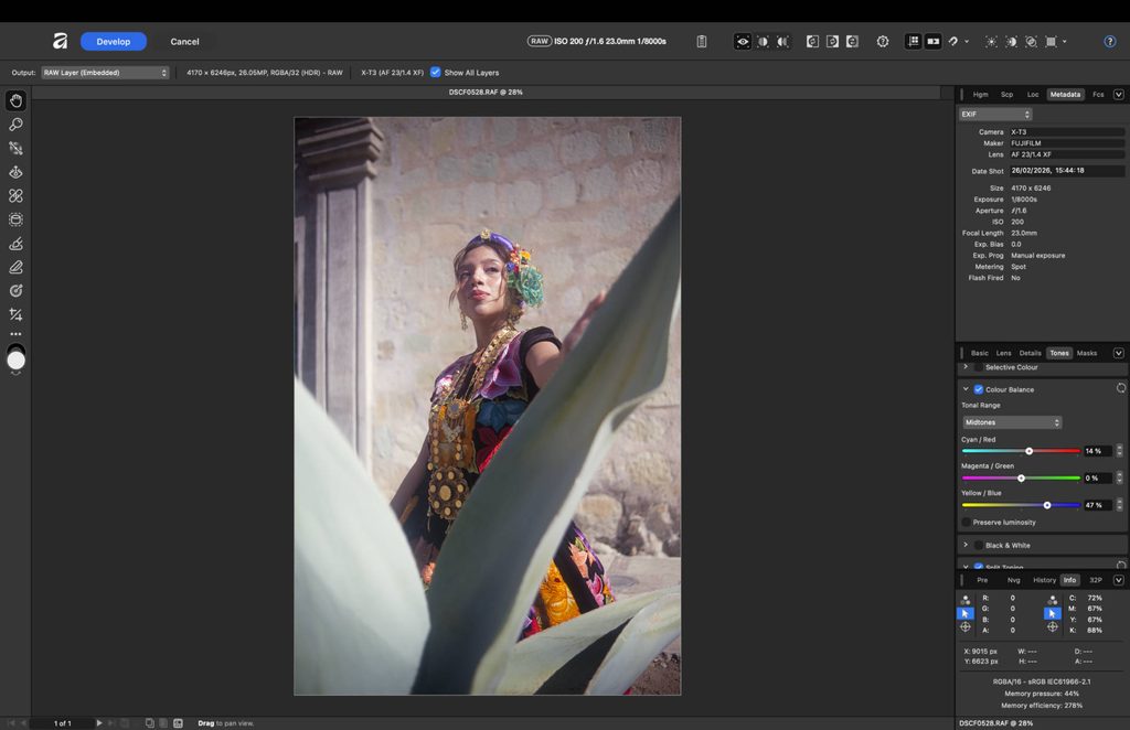 affinity photo develop module with a raw file open