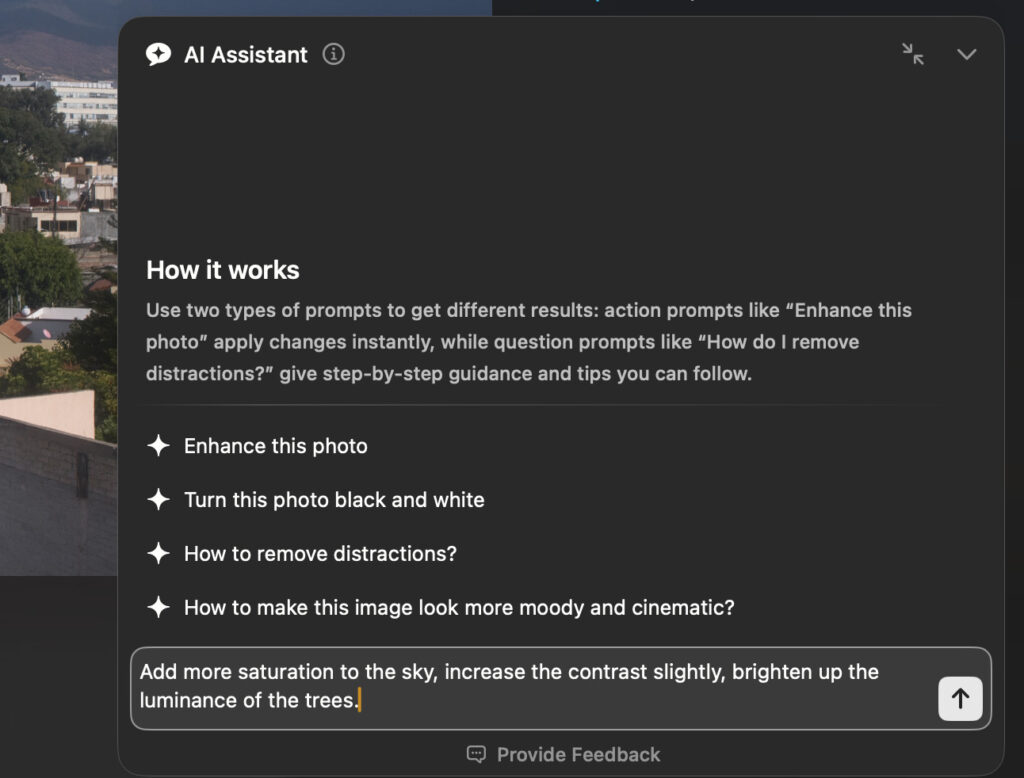 my prompt in luminar neo ai assistant