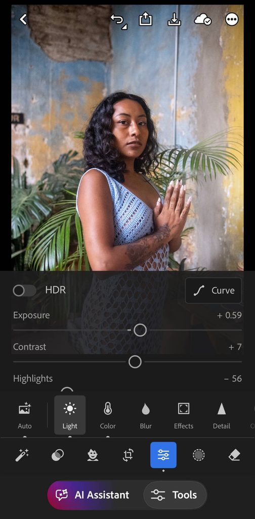 lightroom mobile with the light panel visable