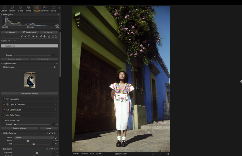 capture one match look tool