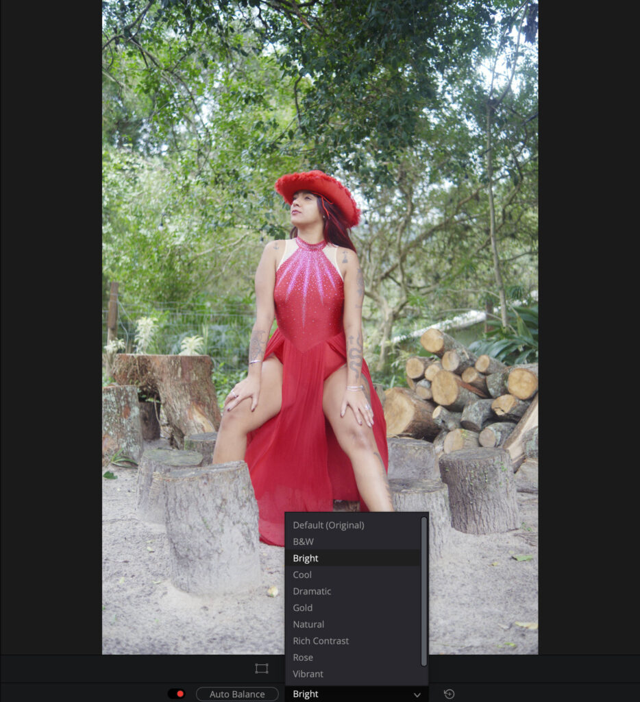 davinci resolve presets
