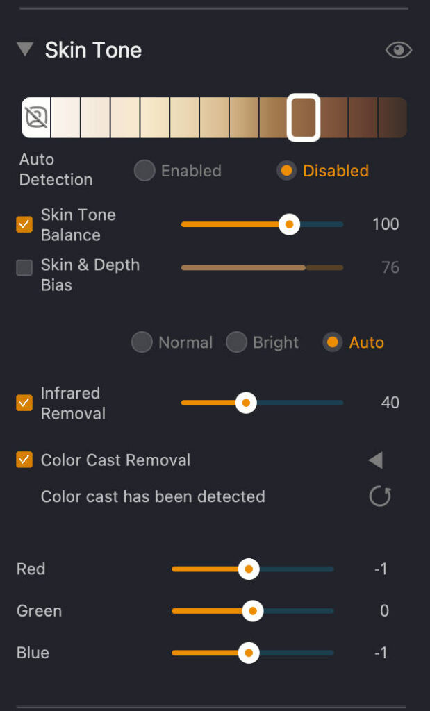 radiant photo 2 skin tone panel