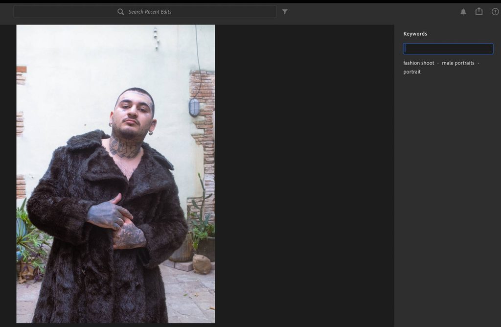 an example of how to add keywords to your photographs inside lightroom